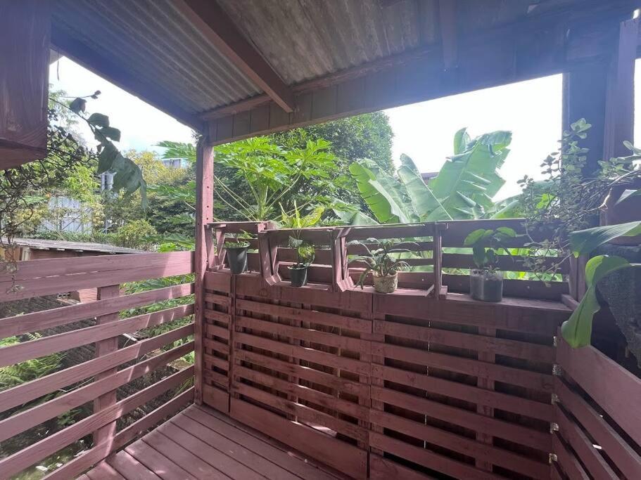 Hostel Pantanal Em Florianopolis Ngoại thất bức ảnh